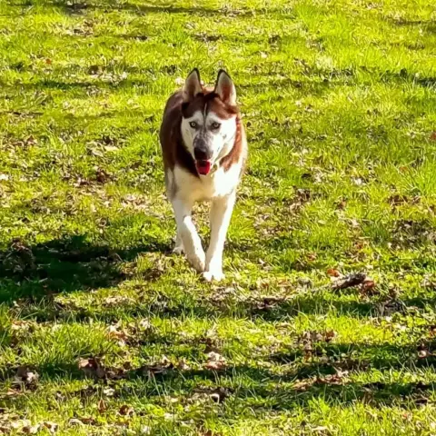 Tayen photo 2