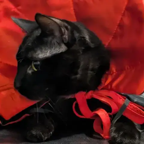 Zora photo 2