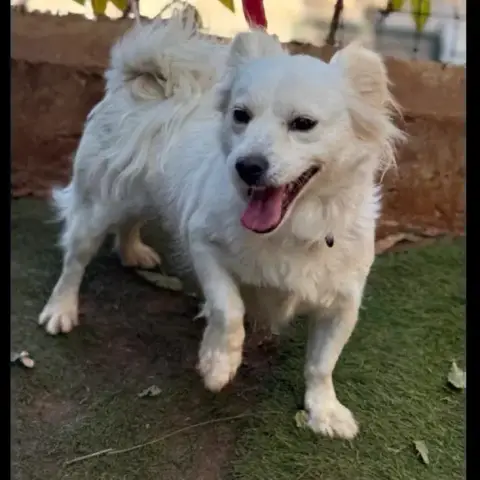 Lumi