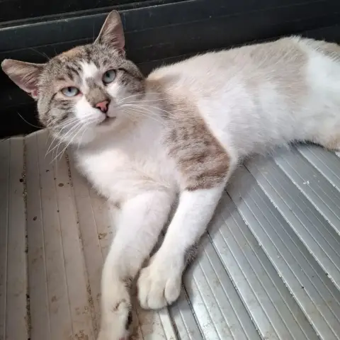 Marley photo 2
