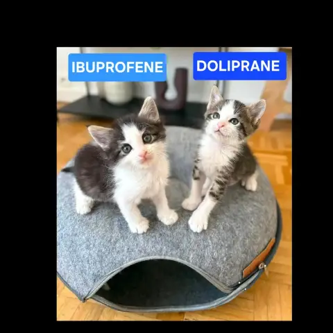 Doliprane Et Ibuprofene