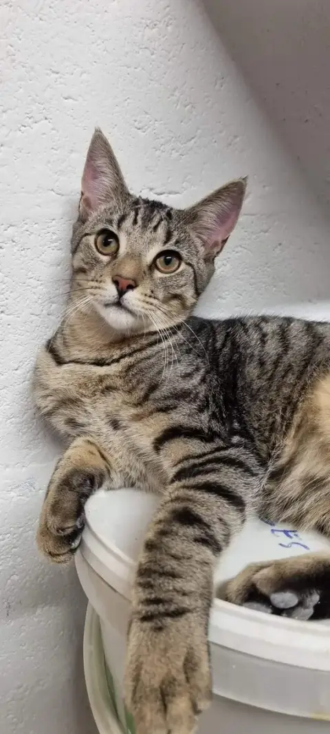 Marley