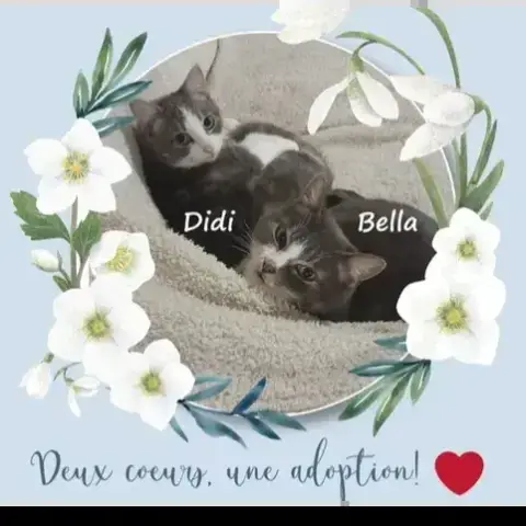 Didi Et Bella