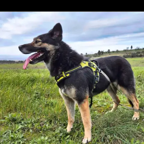 Lexie photo 3