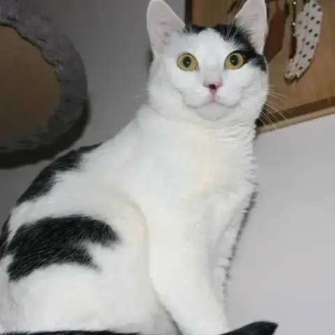 Aya photo 3