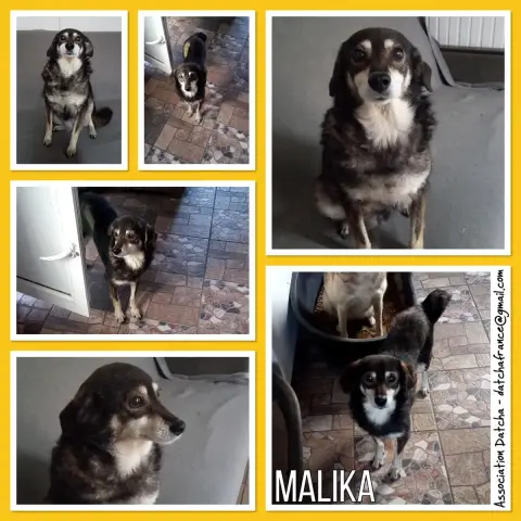 Malika