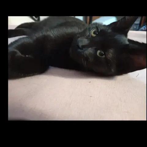 Greta