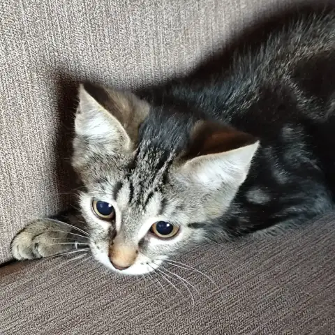 Maya photo 3