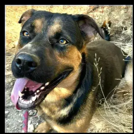Stitch photo 3
