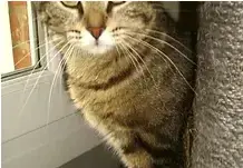 Mirama