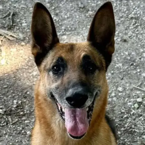 Chico photo 2
