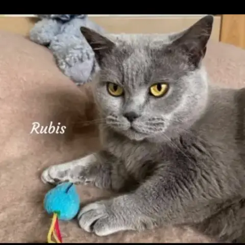 Rubis photo 2