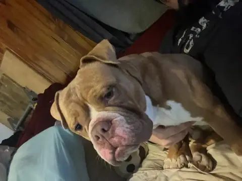 Keiko