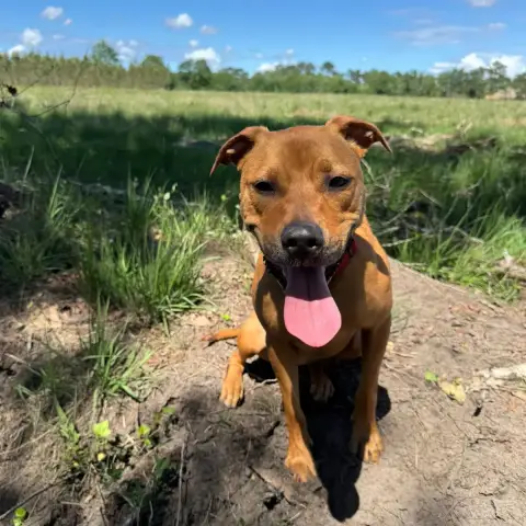 Nala photo 2