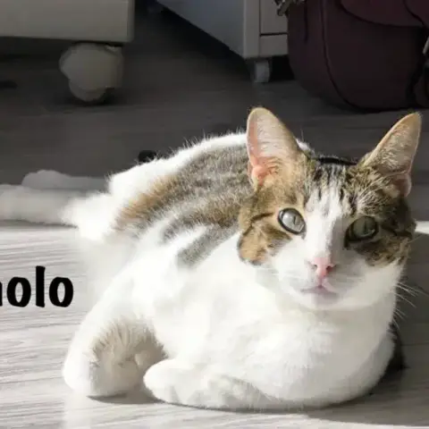 Paolo