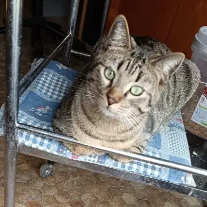 Timmy photo 3