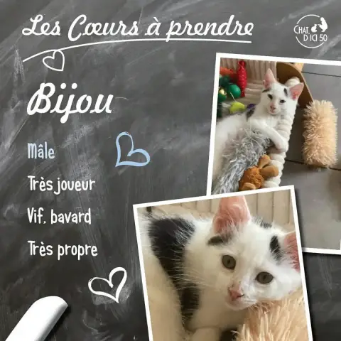 Bijou