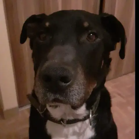 Sam