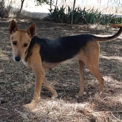 Zoé photo 2