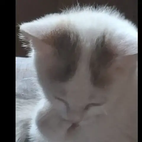 Adèle photo 2