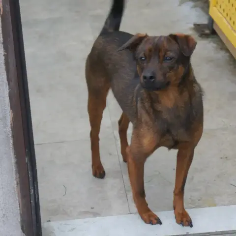 Fupo photo 2