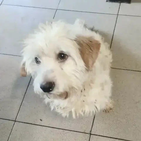 Ralph