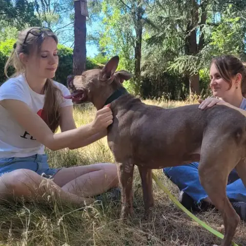 Princesse photo 3