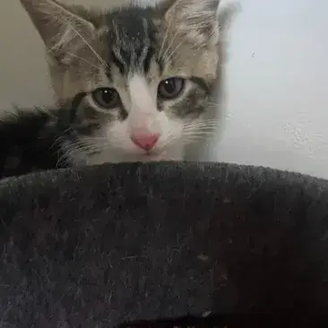 Billy