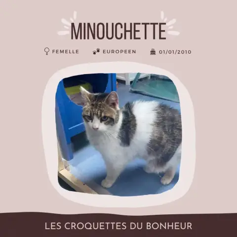 Minouchette