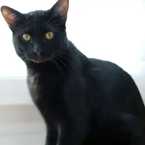Aruki photo 2