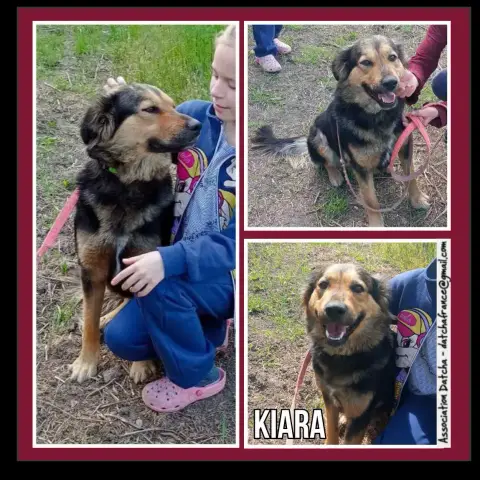 Kiara