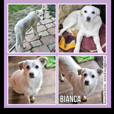 Bianca