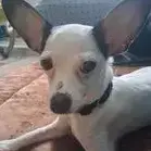 Betsy