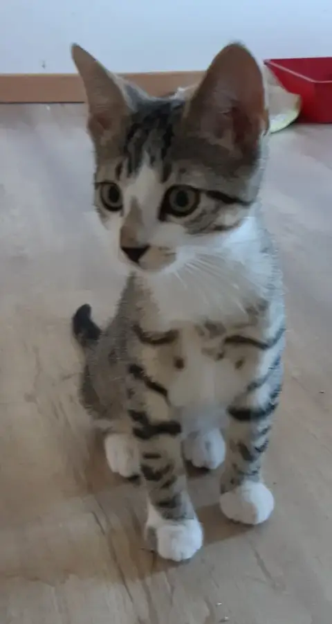 Pablo
