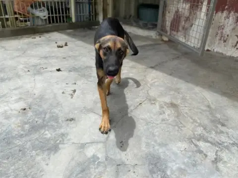 Nina photo 2
