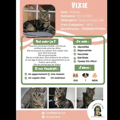 Vixie Réservée
