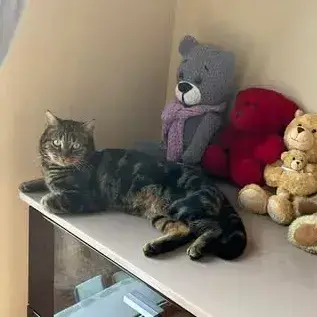 Milo