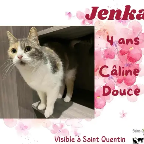 Jenka