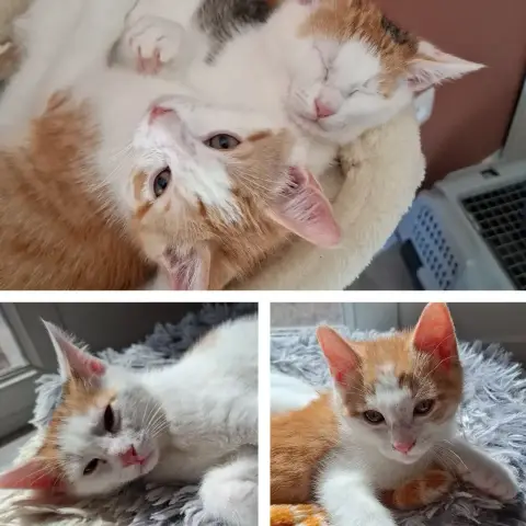 Rio Et Stella photo 2
