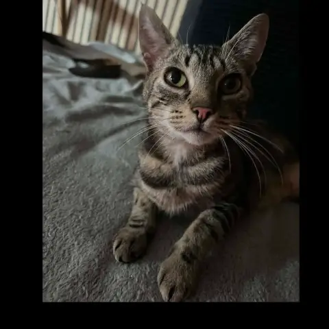 Maggy Ou Miss Bisous
