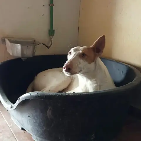 Billy photo 3