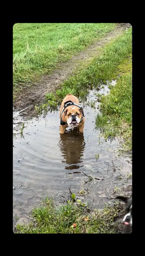 Ruben