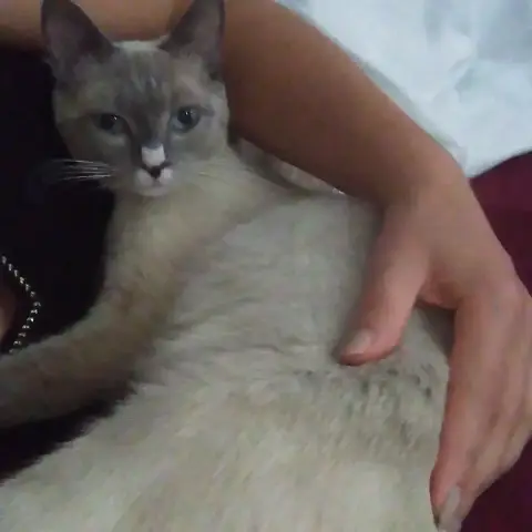 Navi photo 3