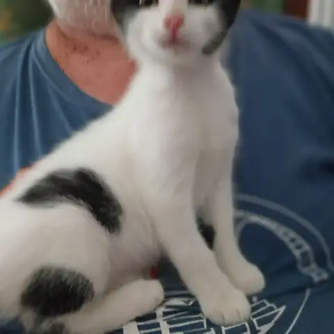 Billy