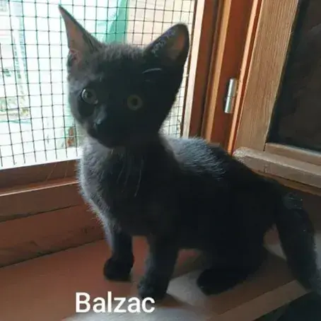 Balzac