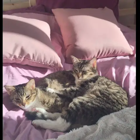 Baya Et Lexie