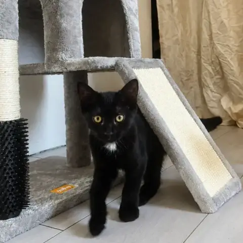 Salem