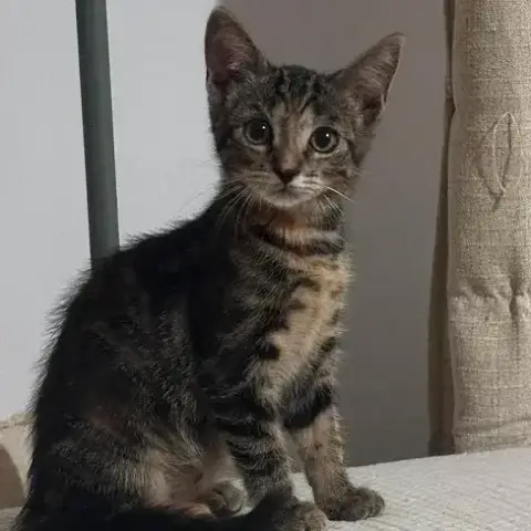 Billie   A Réserver