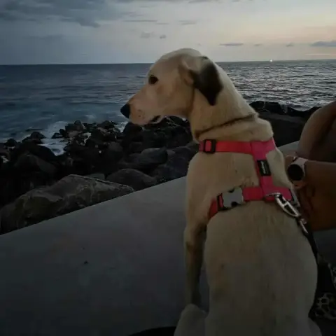 Sancha photo 2