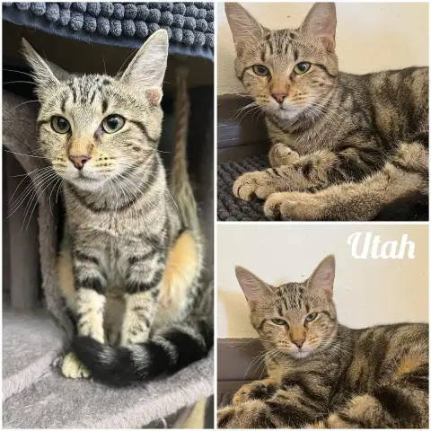Utah